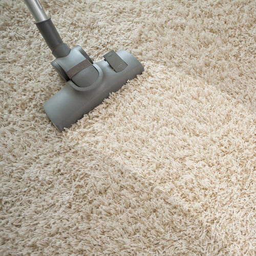 Vacuuming rough carpet in living room with vacuum cleaner